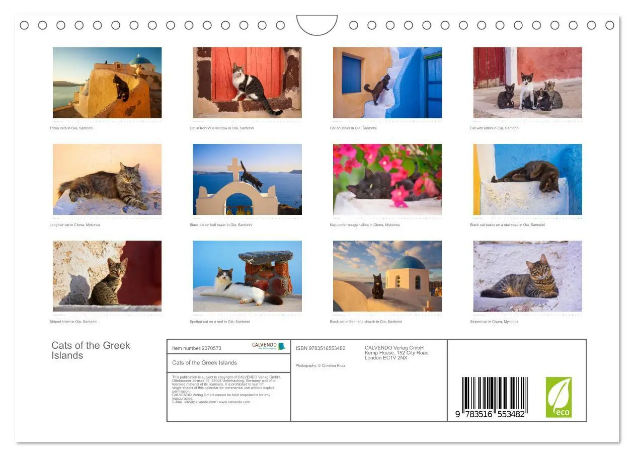Bild: 9783516553482 | Cats of the Greek Islands (Wall Calendar 2026 DIN A4 landscape),...
