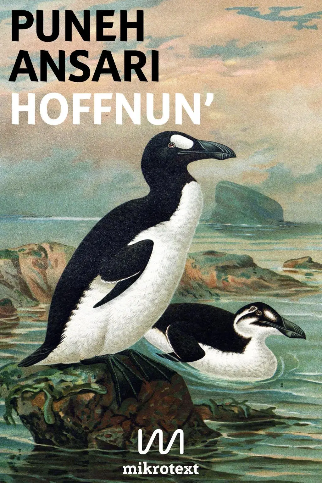 Cover: 9783944543482 | Hoffnun' | Puneh Ansari | Taschenbuch | 168 S. | Deutsch | 2017