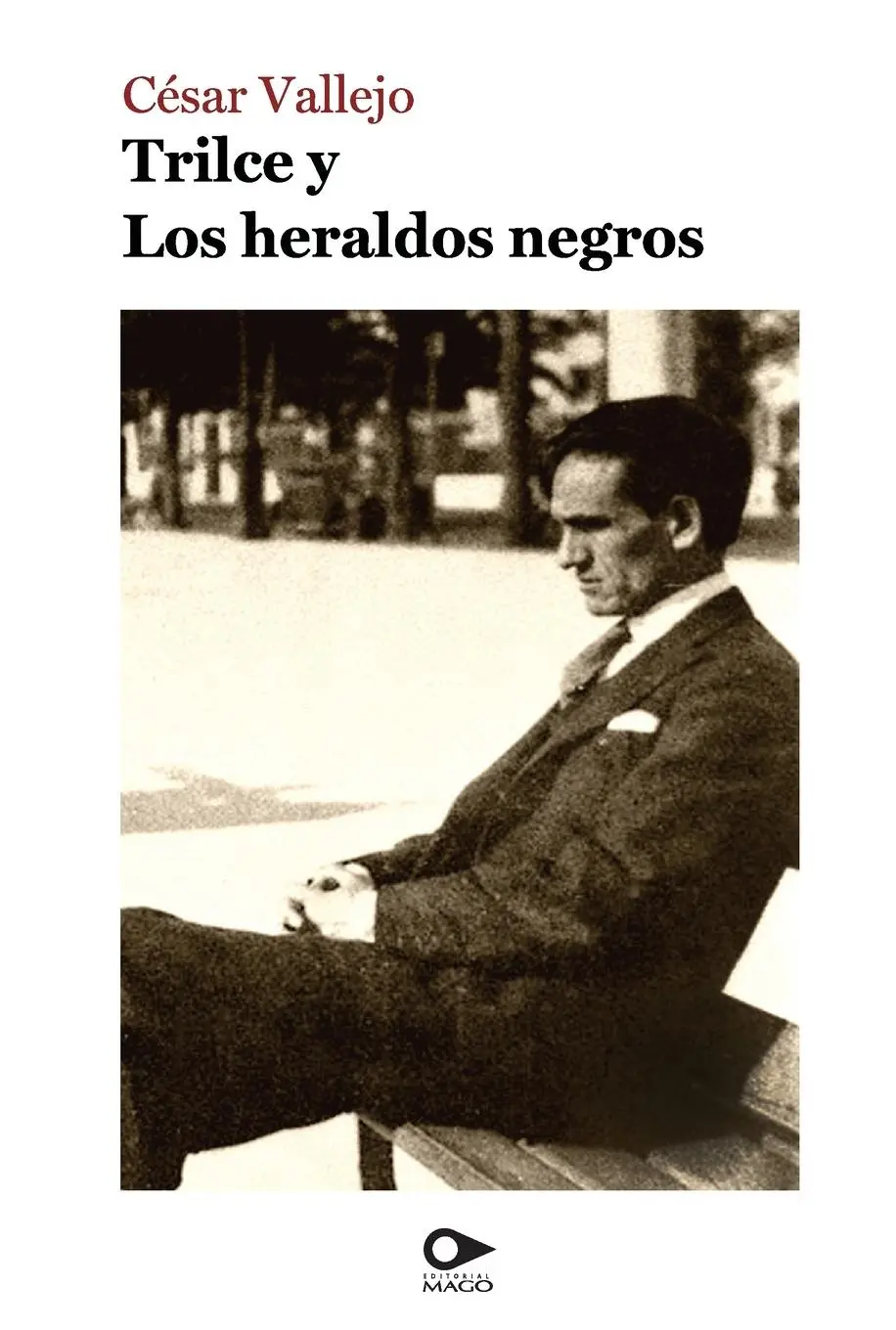 Cover: 9789563173482 | Trilce y Los heraldos negros | C Sar Vallejo | Taschenbuch | Spanisch