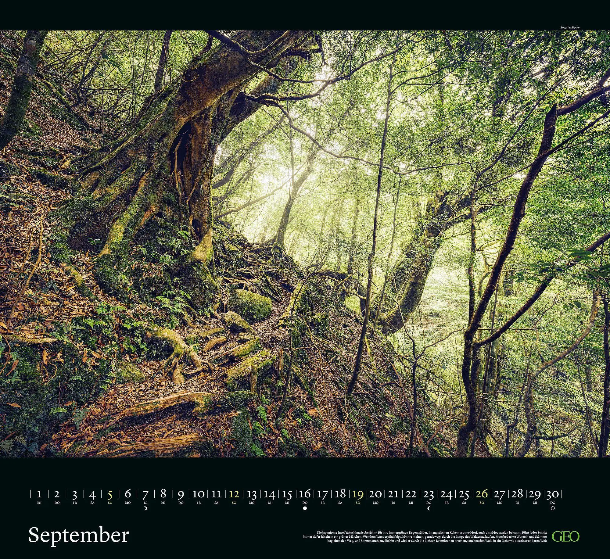 Bild: 4069095013582 | GEO Klassiker: Traumpfade 2027 | Gruner+Jahr GmbH | Kalender | 14 S.