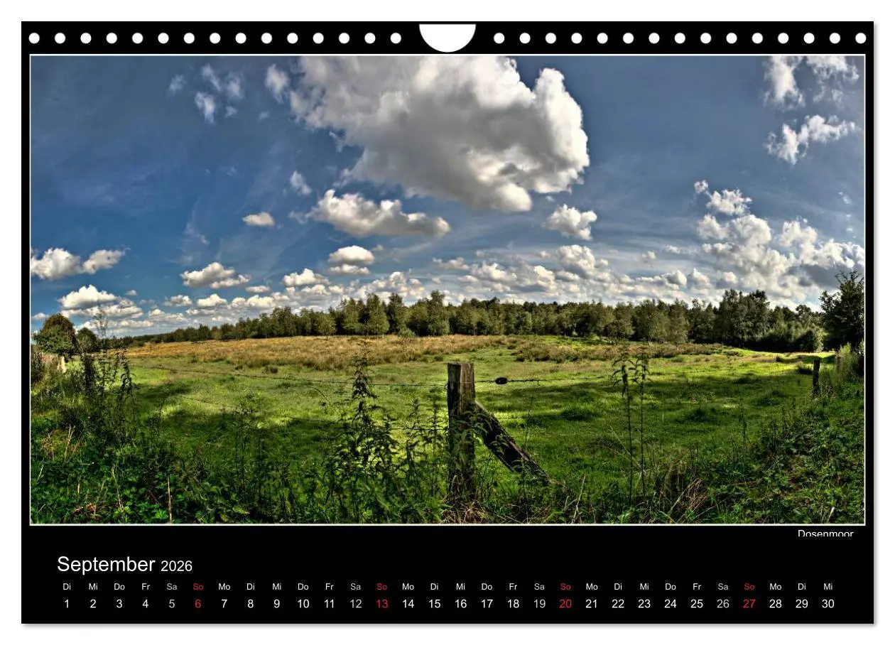 Bild: 9783516233582 | Neumünster - Meine Stadt (Wandkalender 2026 DIN A4 quer), CALVENDO...