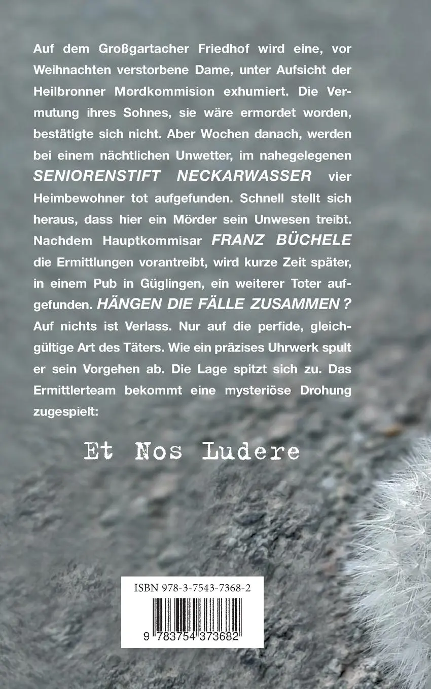 Rückseite: 9783754373682 | Mord im Seniorenstift | Johannes Heidrich | Taschenbuch | Paperback