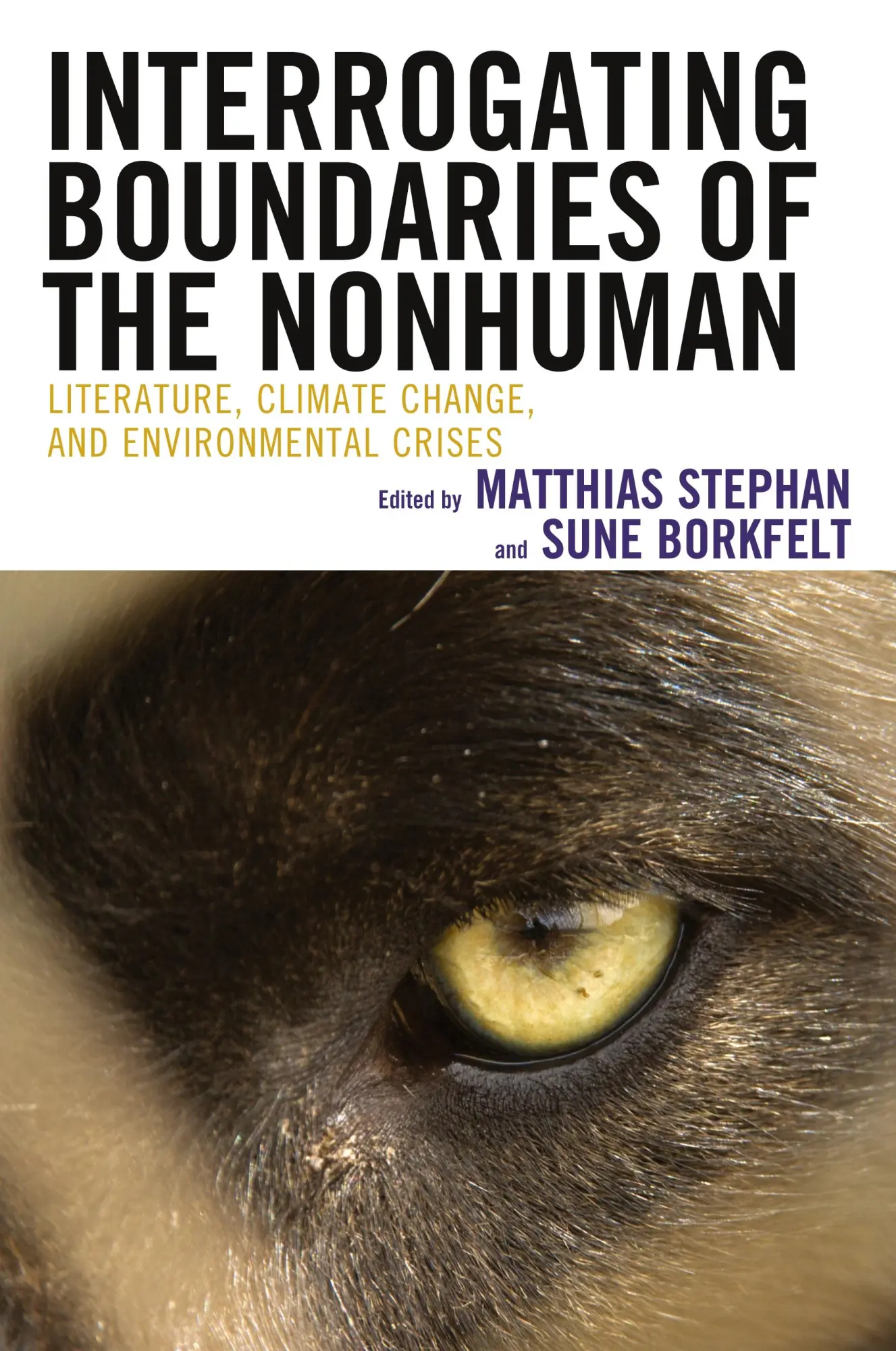 Cover: 9781666903782 | Interrogating Boundaries of the Nonhuman | Matthias Stephan (u. a.)