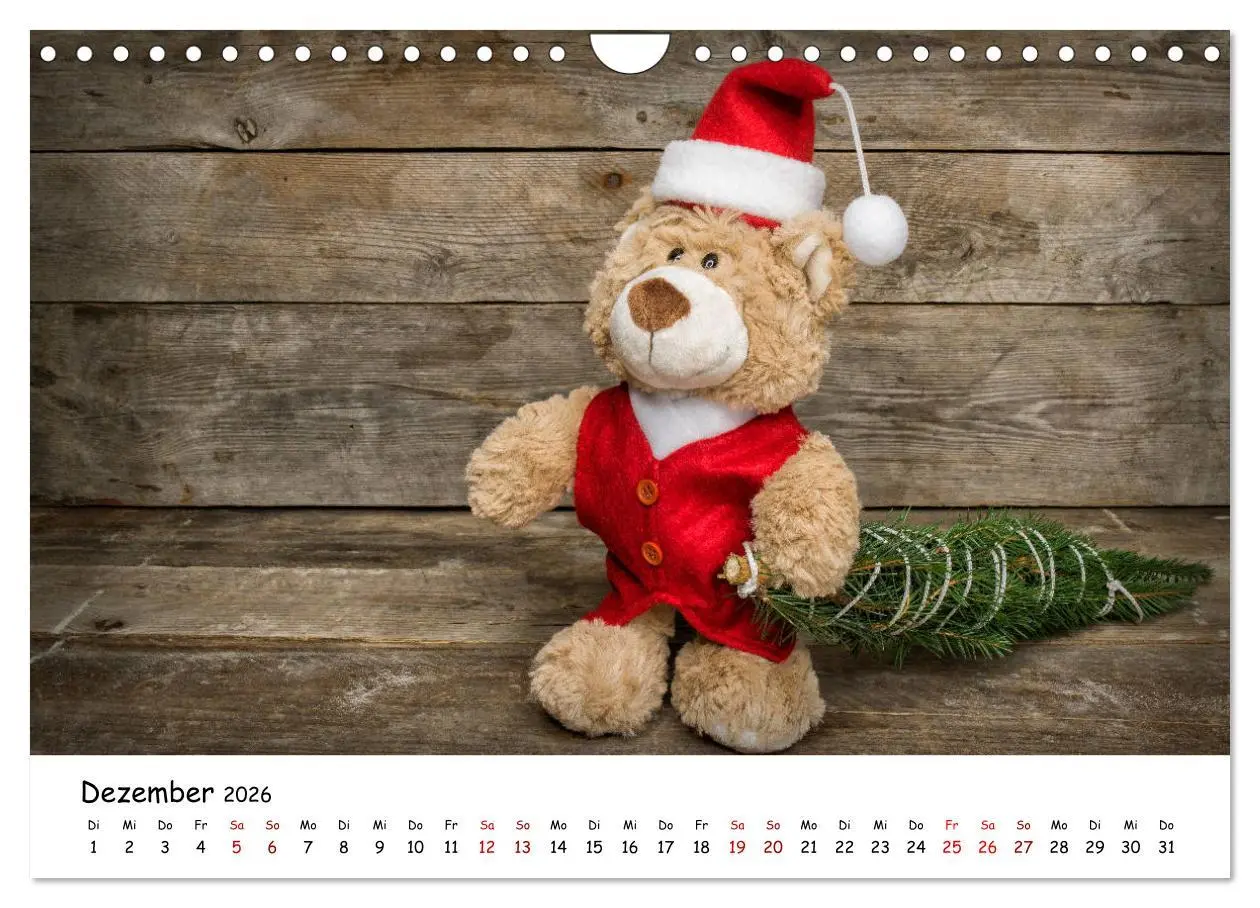 Bild: 9783457813782 | Eddy, der Teddy (Wandkalender 2026 DIN A4 quer), CALVENDO...