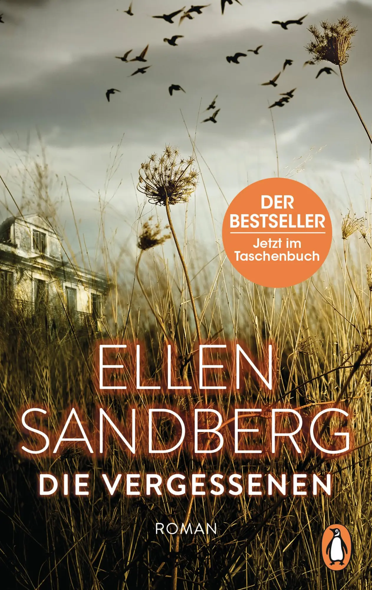 Cover: 9783328103882 | Die Vergessenen | Roman | Ellen Sandberg | Taschenbuch | 528 S. | 2018