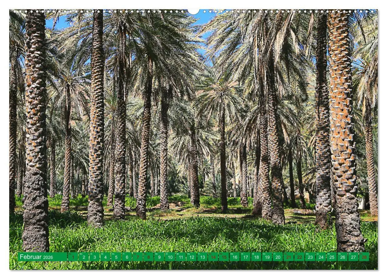 Bild: 9783457593882 | Unterwegs im Weihrauchland Oman (Wandkalender 2026 DIN A2 quer),...