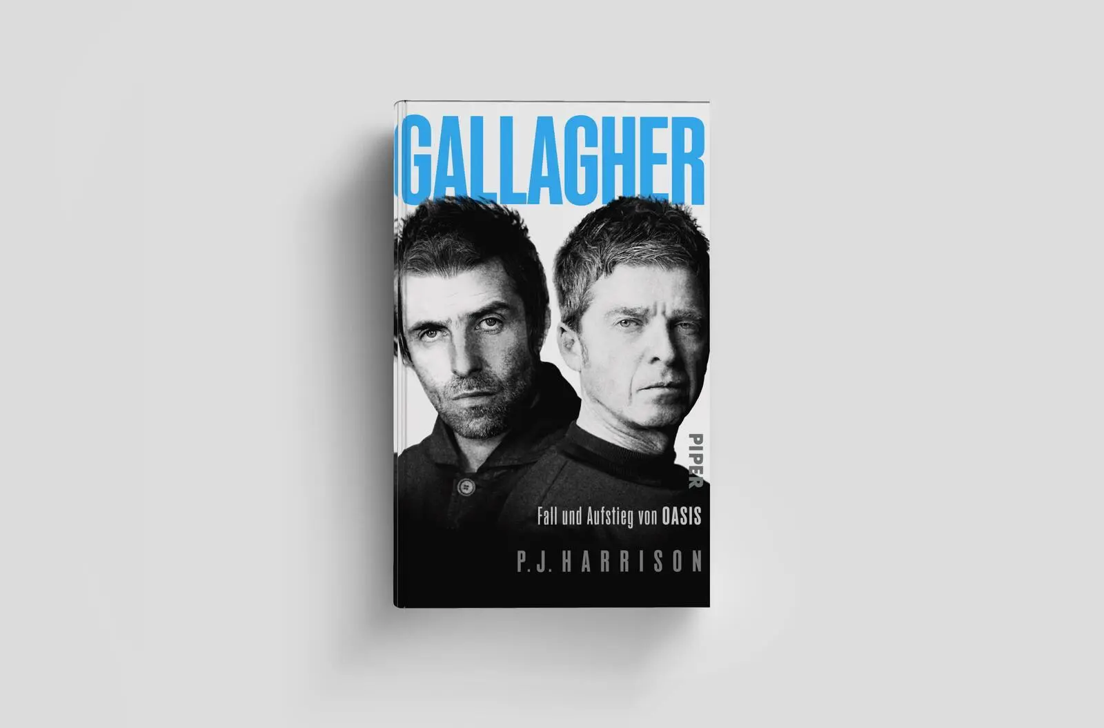 Bild: 9783492073882 | Gallagher | P. J. Harrison | Buch | 336 S. | Deutsch | 2025