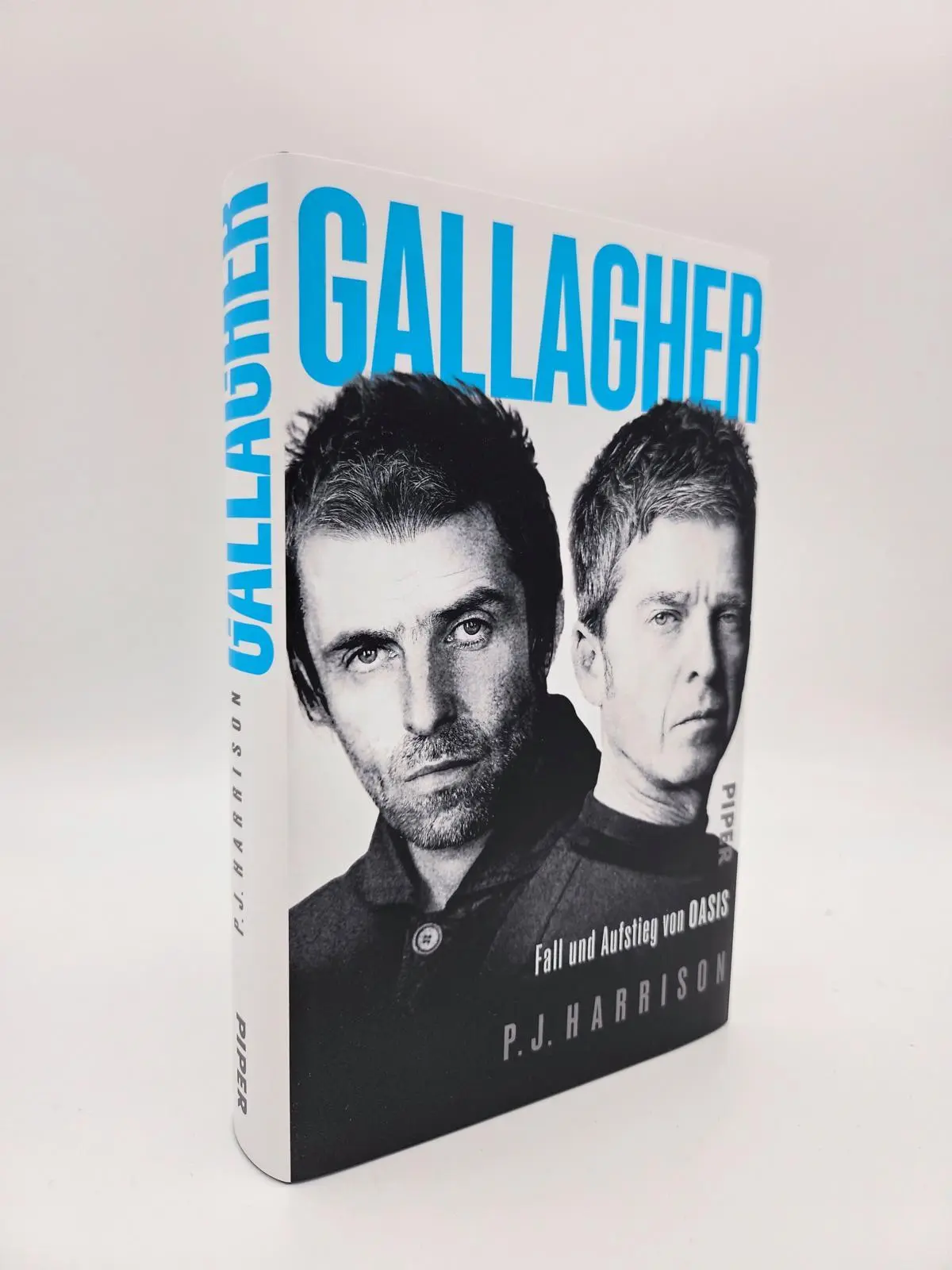 Bild: 9783492073882 | Gallagher | P. J. Harrison | Buch | 336 S. | Deutsch | 2025
