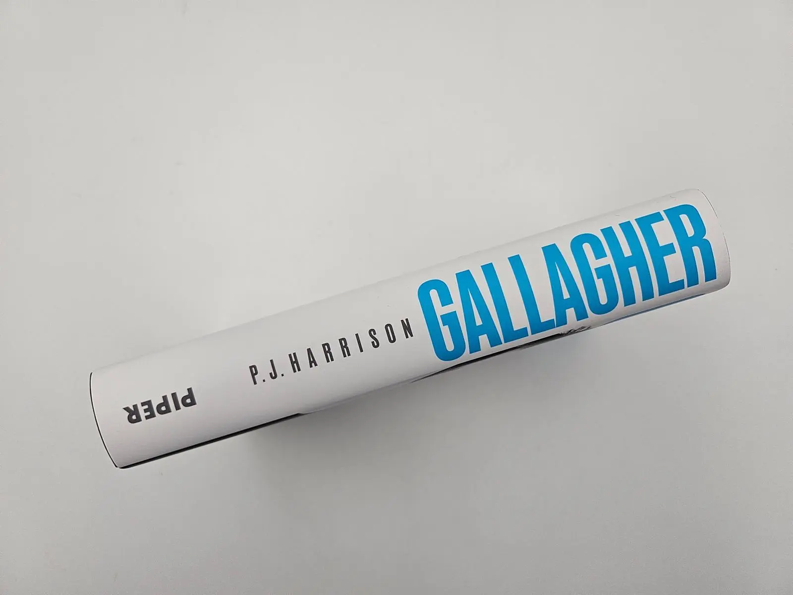 Bild: 9783492073882 | Gallagher | P. J. Harrison | Buch | 336 S. | Deutsch | 2025