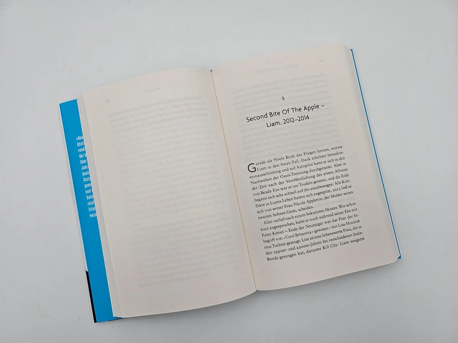 Bild: 9783492073882 | Gallagher | P. J. Harrison | Buch | 336 S. | Deutsch | 2025