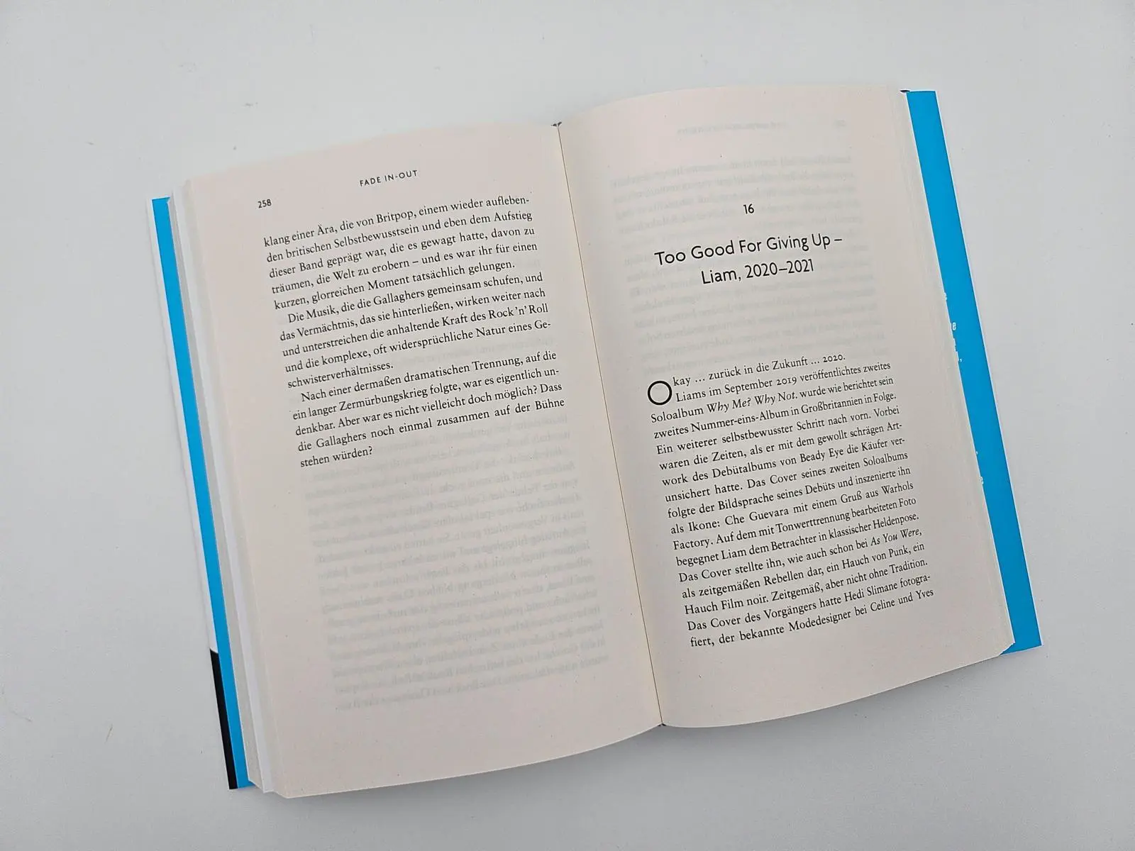 Bild: 9783492073882 | Gallagher | P. J. Harrison | Buch | 336 S. | Deutsch | 2025