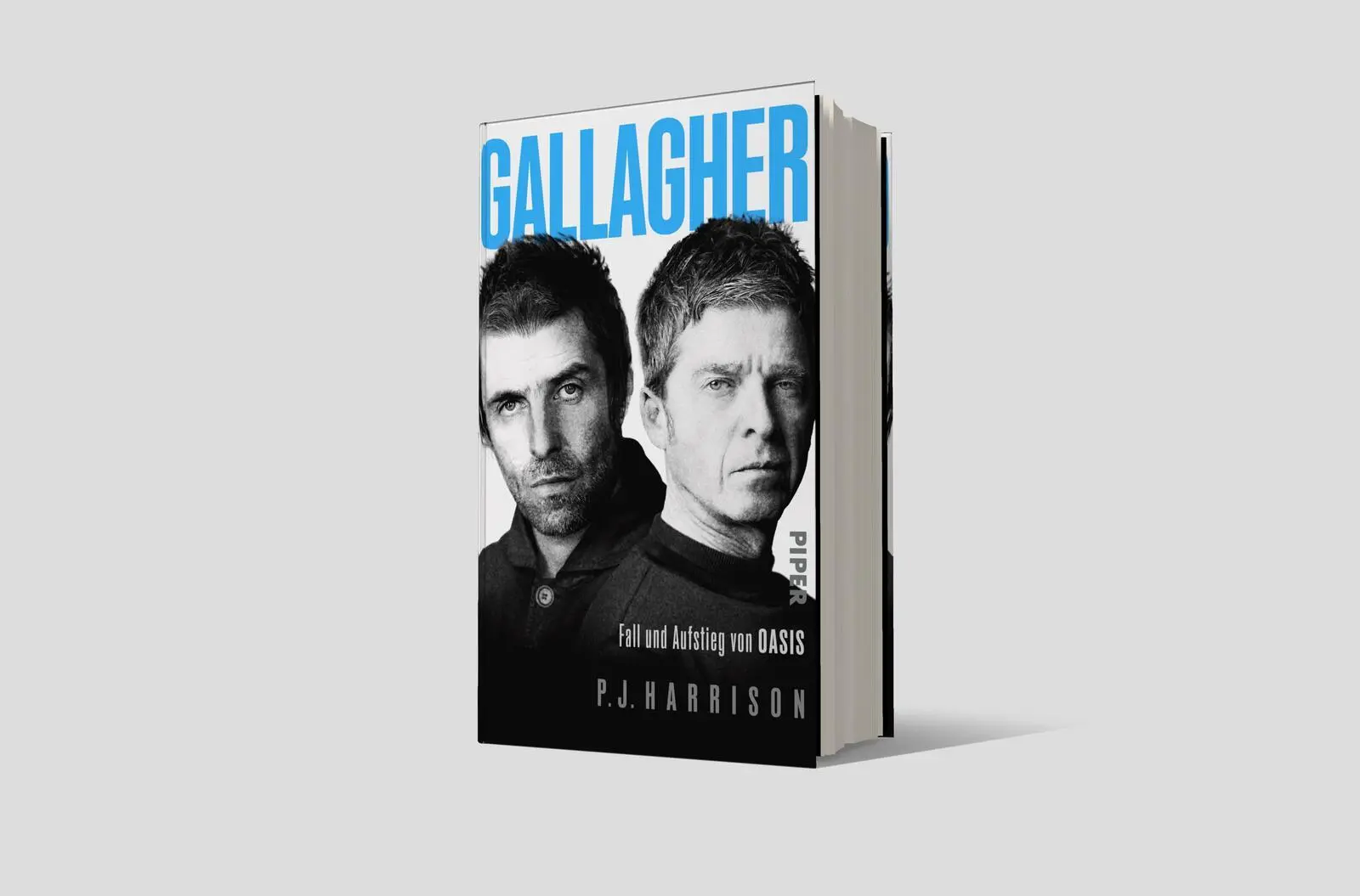 Bild: 9783492073882 | Gallagher | P. J. Harrison | Buch | 336 S. | Deutsch | 2025