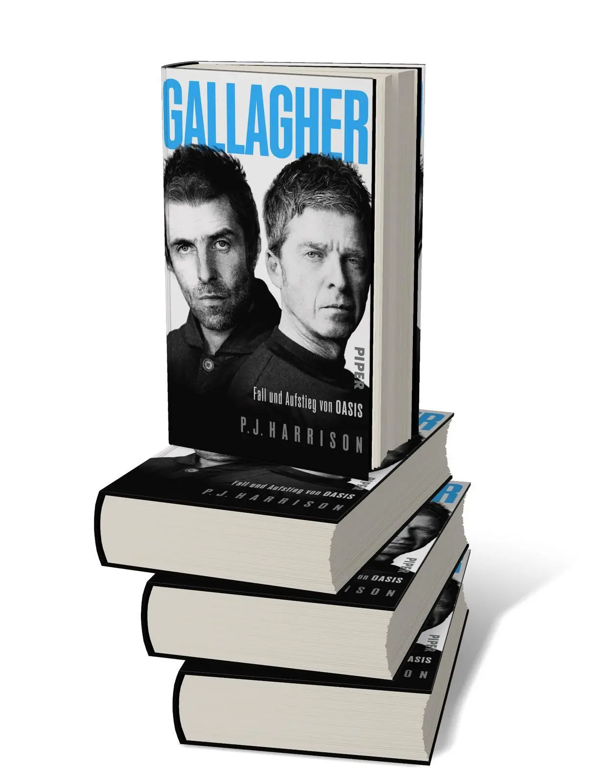 Bild: 9783492073882 | Gallagher | P. J. Harrison | Buch | 336 S. | Deutsch | 2025