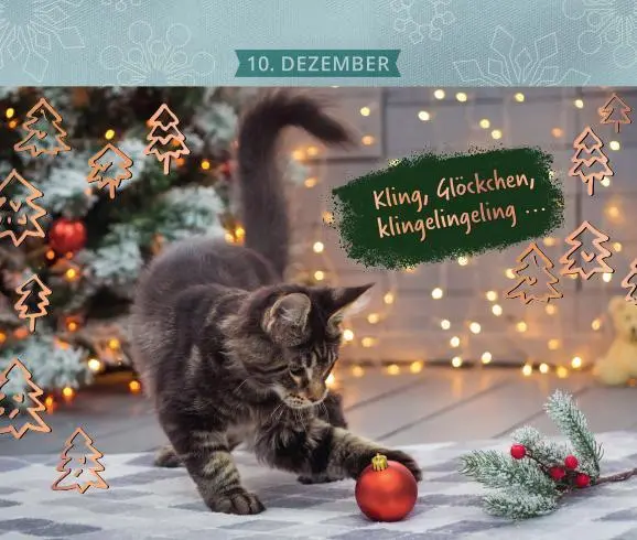 Bild: 9783780613882 | 24 Katzenträume | Postkarten-Adventskalender | Laura Lamping | SPIRALB