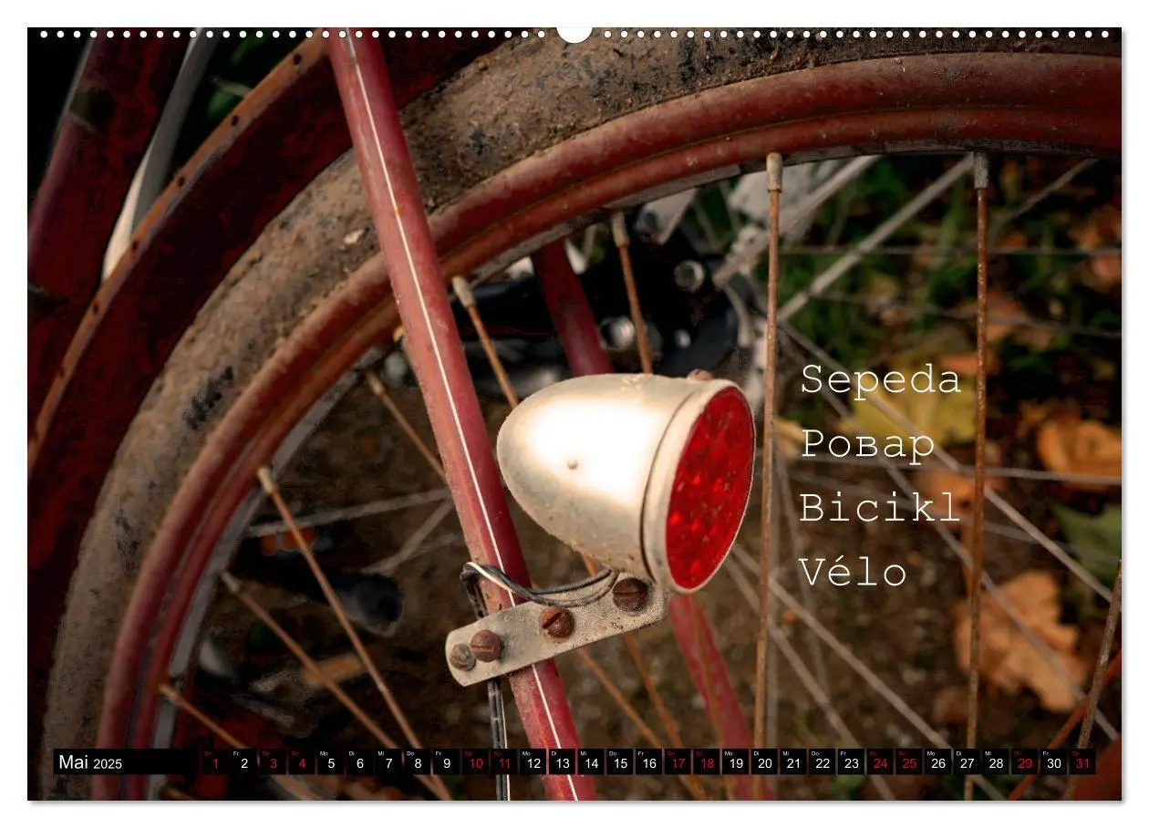Bild: 9783383853982 | Weltfahrrad (Wandkalender 2025 DIN A2 quer), CALVENDO Monatskalender