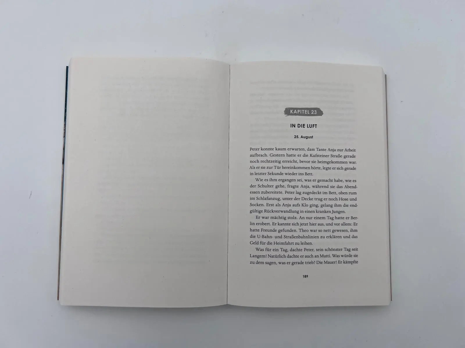Bild: 9783492063982 | Die gespaltene Stadt | Michael Wallner | Taschenbuch | 384 S. | 2023