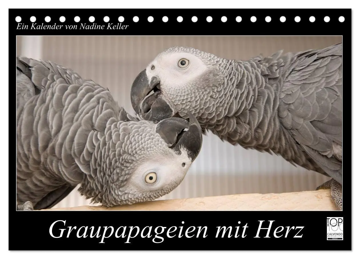 Cover: 9783516123982 | Graupapageien mit Herz (Tischkalender 2026 DIN A5 quer), CALVENDO...