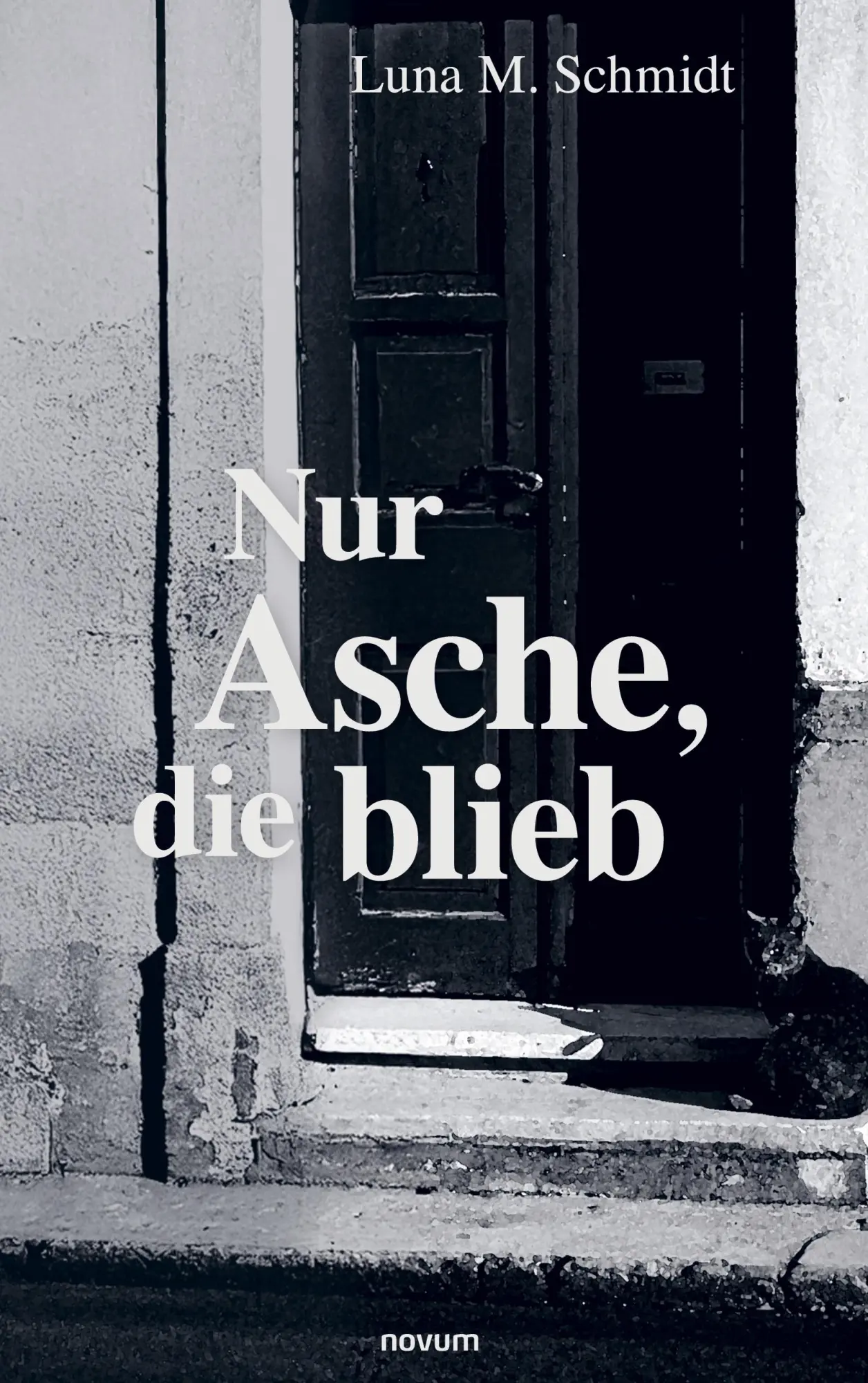 Cover: 9783711603982 | Nur Asche, die blieb | Luna Marie Schmidt | Taschenbuch | Deutsch
