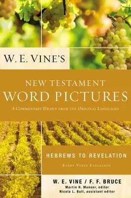 Cover: 9780310154082 | W. E. Vine's New Testament Word Pictures | W. E. Vine | Taschenbuch