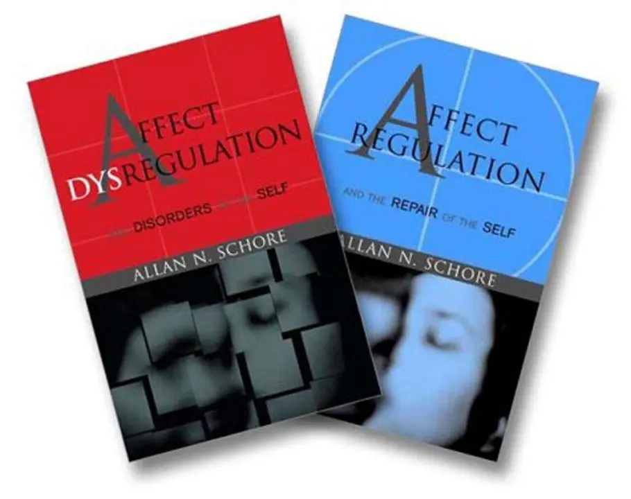 Cover: 9780393704082 | Affect Regulation and the Repair of the Self &amp; Affect Dysregulation...