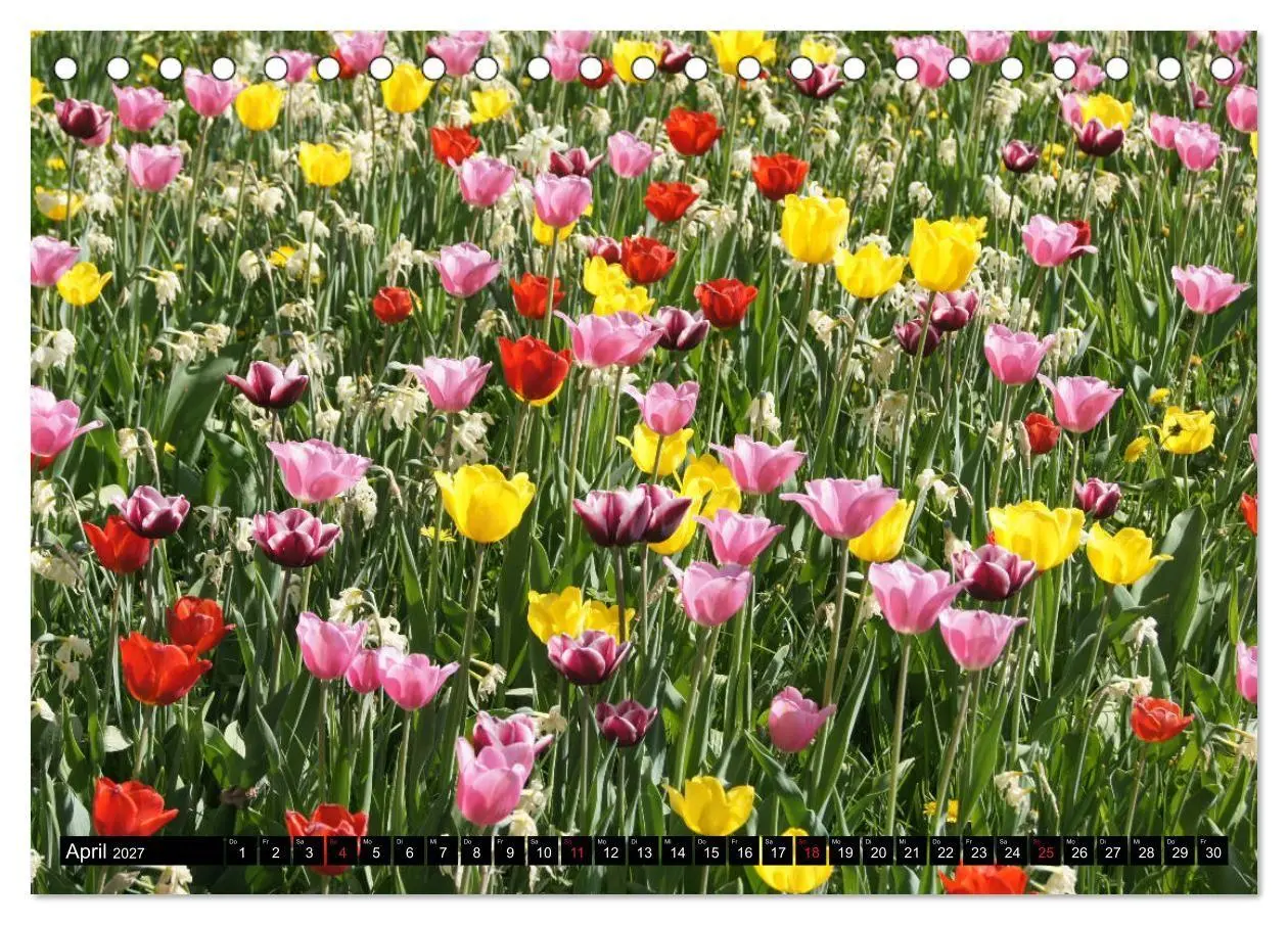 Bild: 9783569724082 | Heidenheim an der Brenz (Tischkalender 2027 DIN A5 quer), CALVENDO...