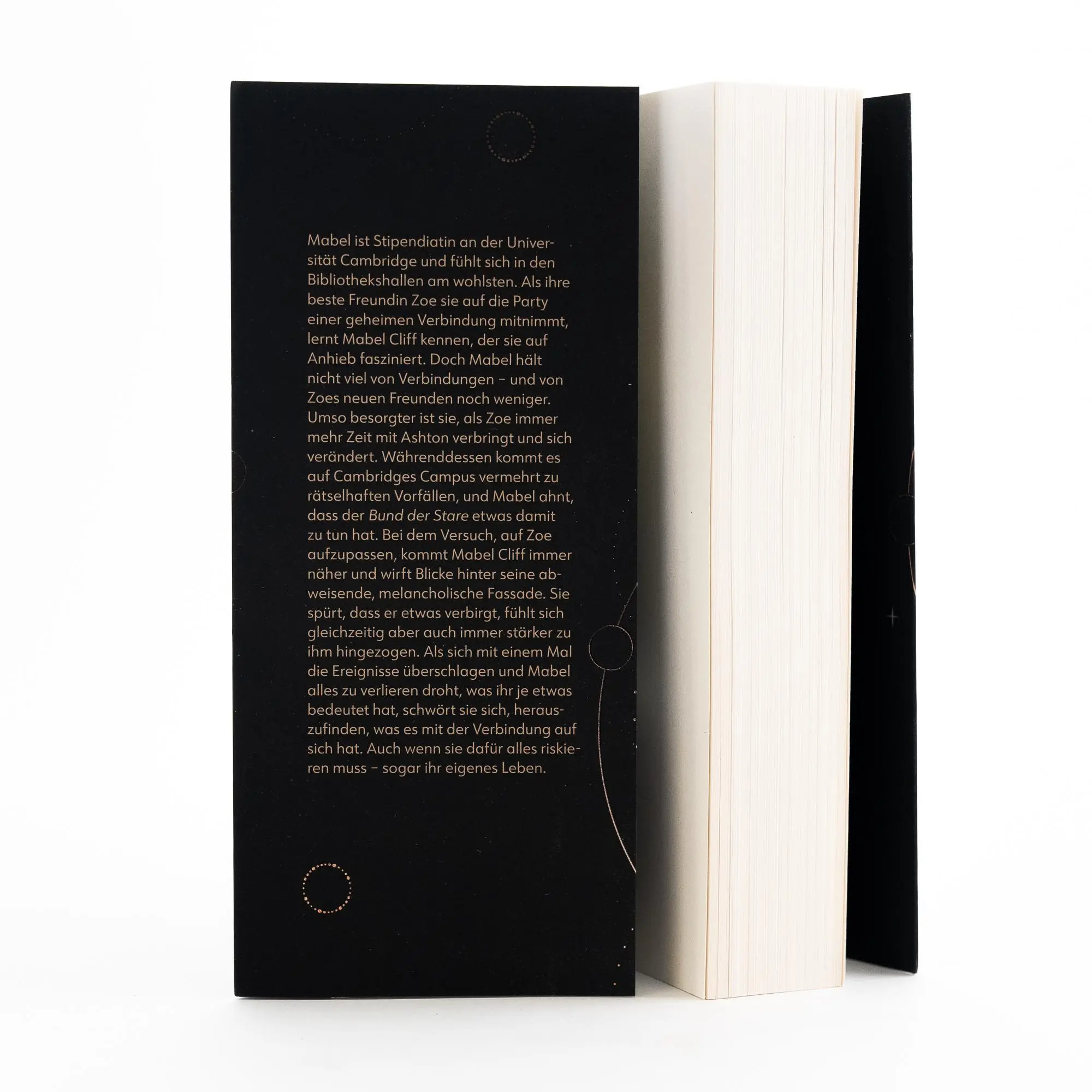 Bild: 9783745704082 | Starling Nights 1 | Im Schatten der Wahrheit | Merit Niemeitz | Buch