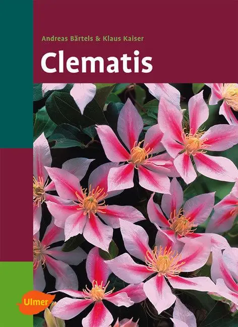 Cover: 9783800144082 | Clematis | Andreas Bärtels (u. a.) | Buch | 191 S. | Deutsch | 2004