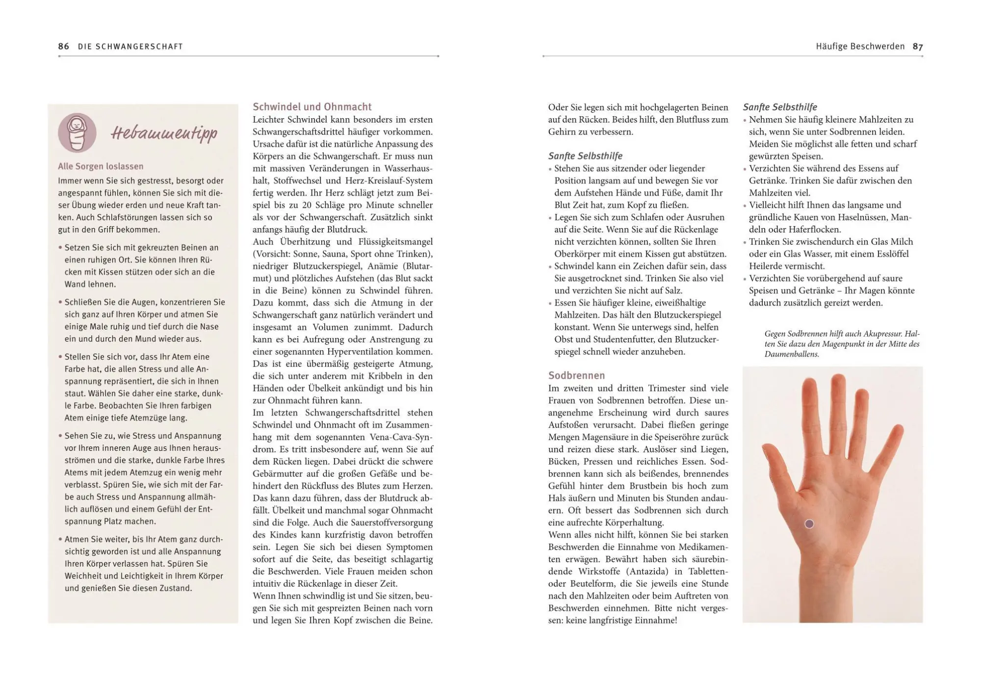 Bild: 9783833814082 | Hebammen-Gesundheitswissen | Silvia Höfer (u. a.) | Taschenbuch | 2012