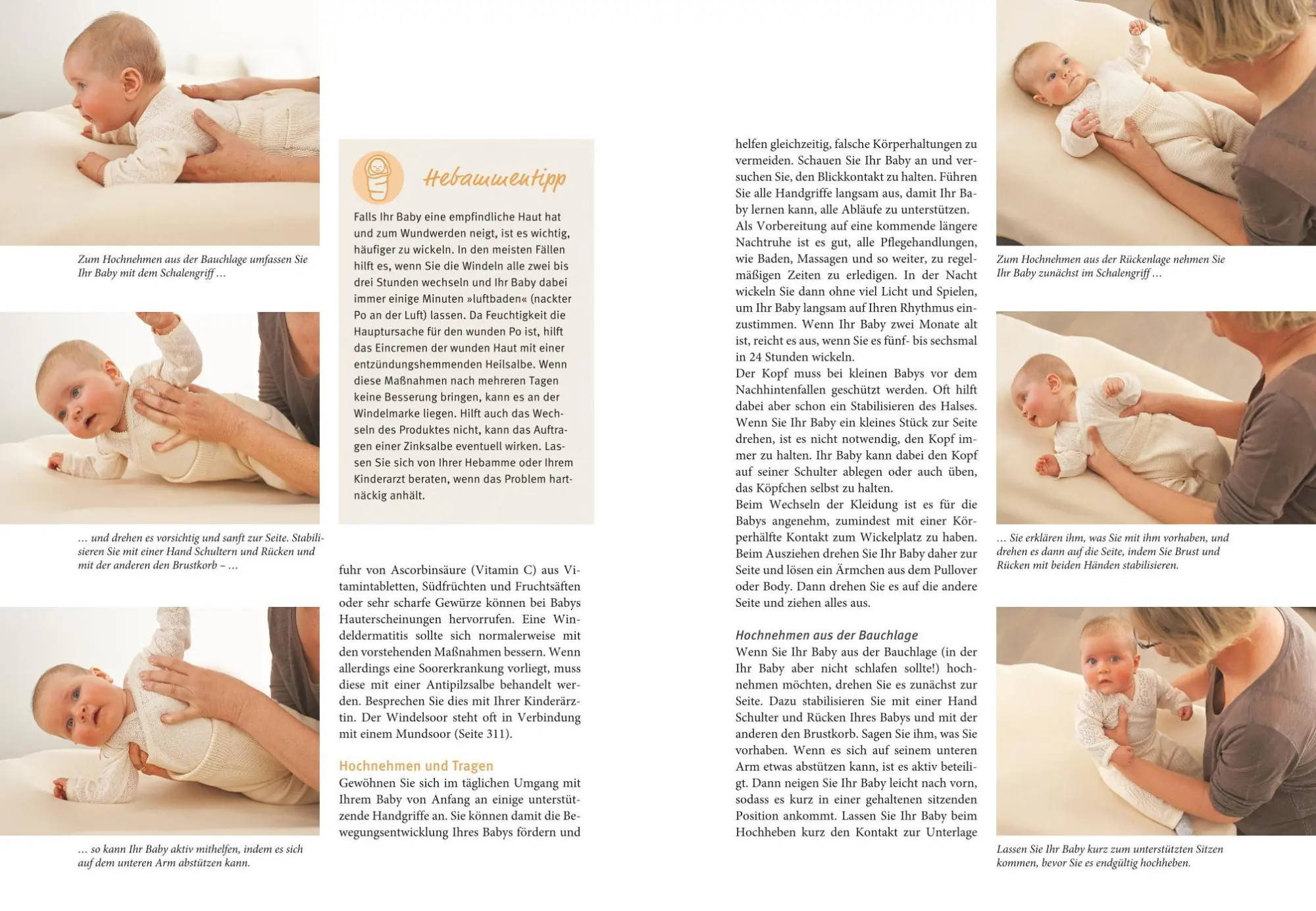 Bild: 9783833814082 | Hebammen-Gesundheitswissen | Silvia Höfer (u. a.) | Taschenbuch | 2012