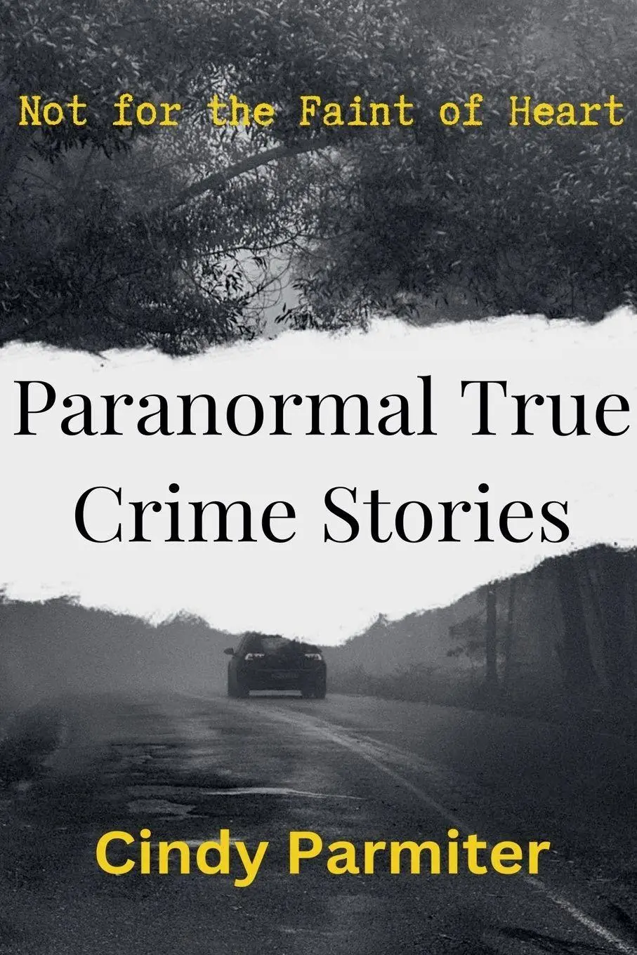 Cover: 9798230604082 | Paranormal True Crime Stories | Cindy Parmiter | Taschenbuch | 2025
