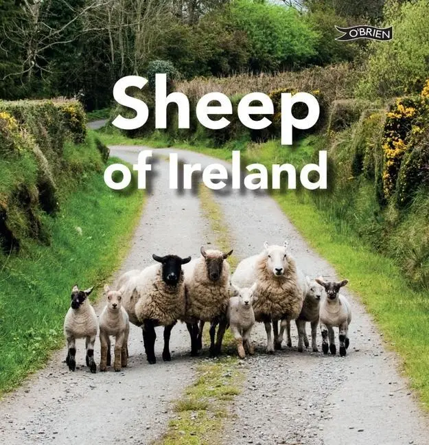 Cover: 9781788494182 | Sheep of Ireland | Sarah O'Connor | Buch | Gebunden | Englisch | 2023