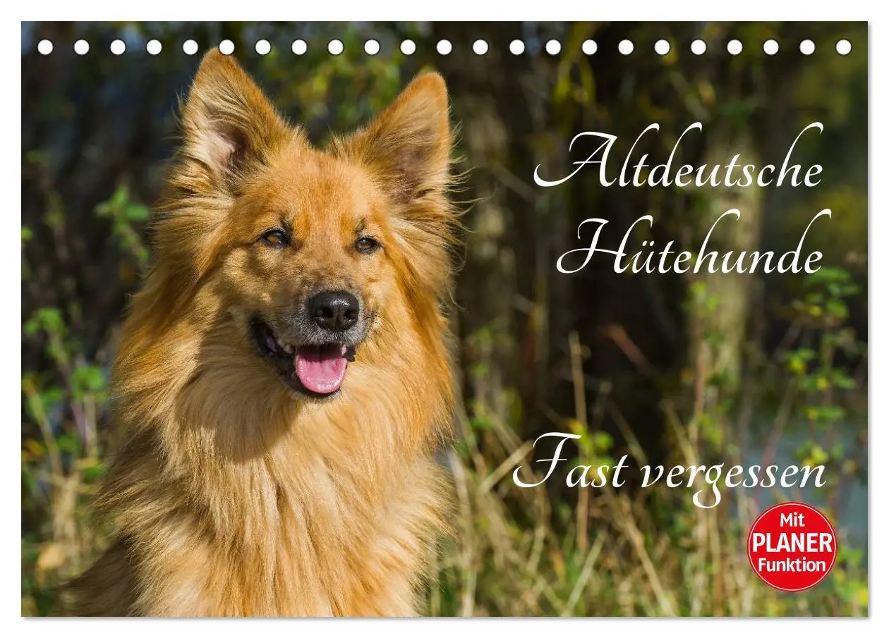 Cover: 9783516004182 | Altdeutsche Hütehunde - Fast vergessen (Tischkalender 2026 DIN A5...