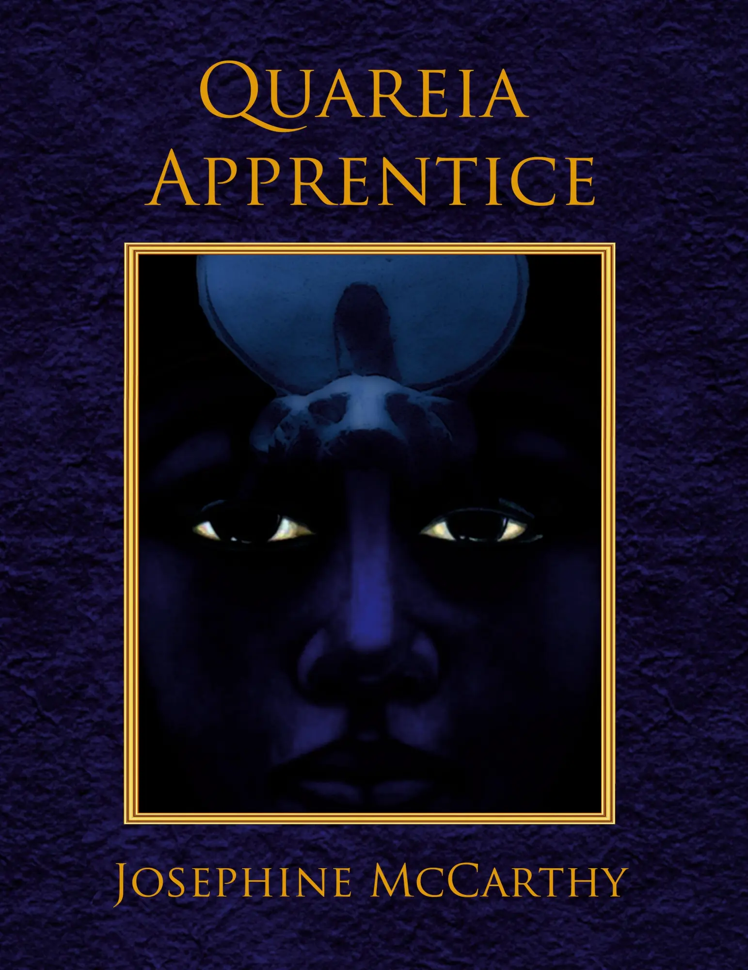 Cover: 9781911134282 | Quareia Apprentice | Josephine Mccarthy | Taschenbuch | Englisch