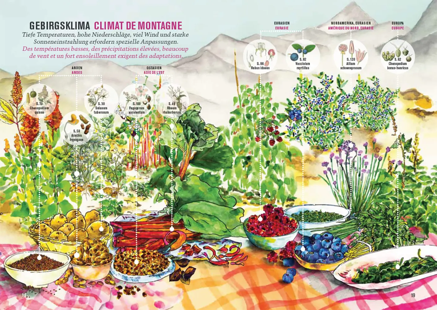Bild: 9783258084282 | Botanica 2025 | Pflanzen für unsere Zukunft. Nahrungspflanzen | Buch