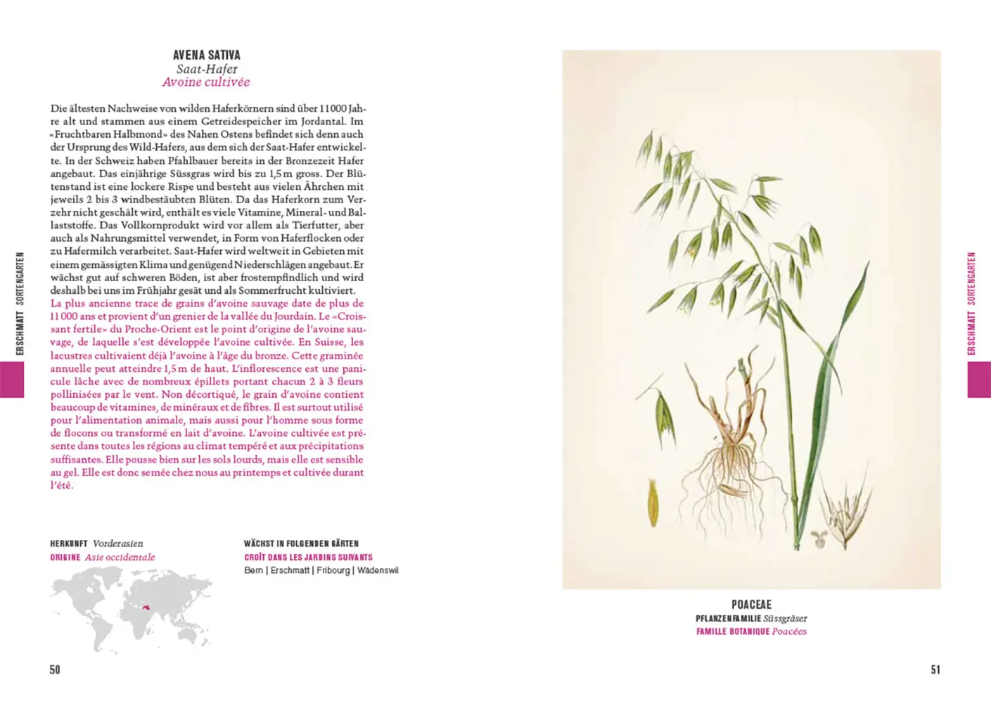 Bild: 9783258084282 | Botanica 2025 | Pflanzen für unsere Zukunft. Nahrungspflanzen | Buch