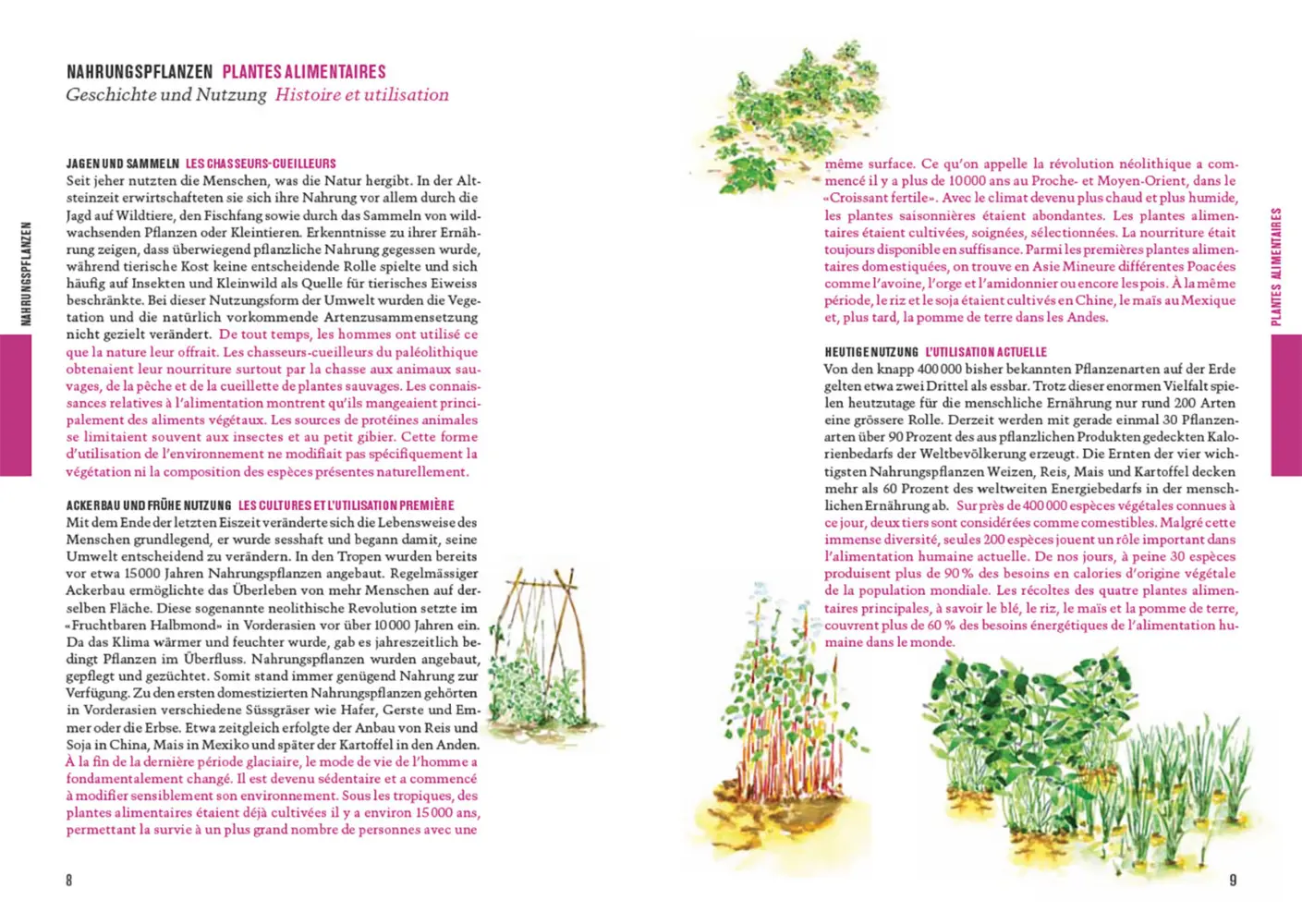Bild: 9783258084282 | Botanica 2025 | Pflanzen für unsere Zukunft. Nahrungspflanzen | Buch