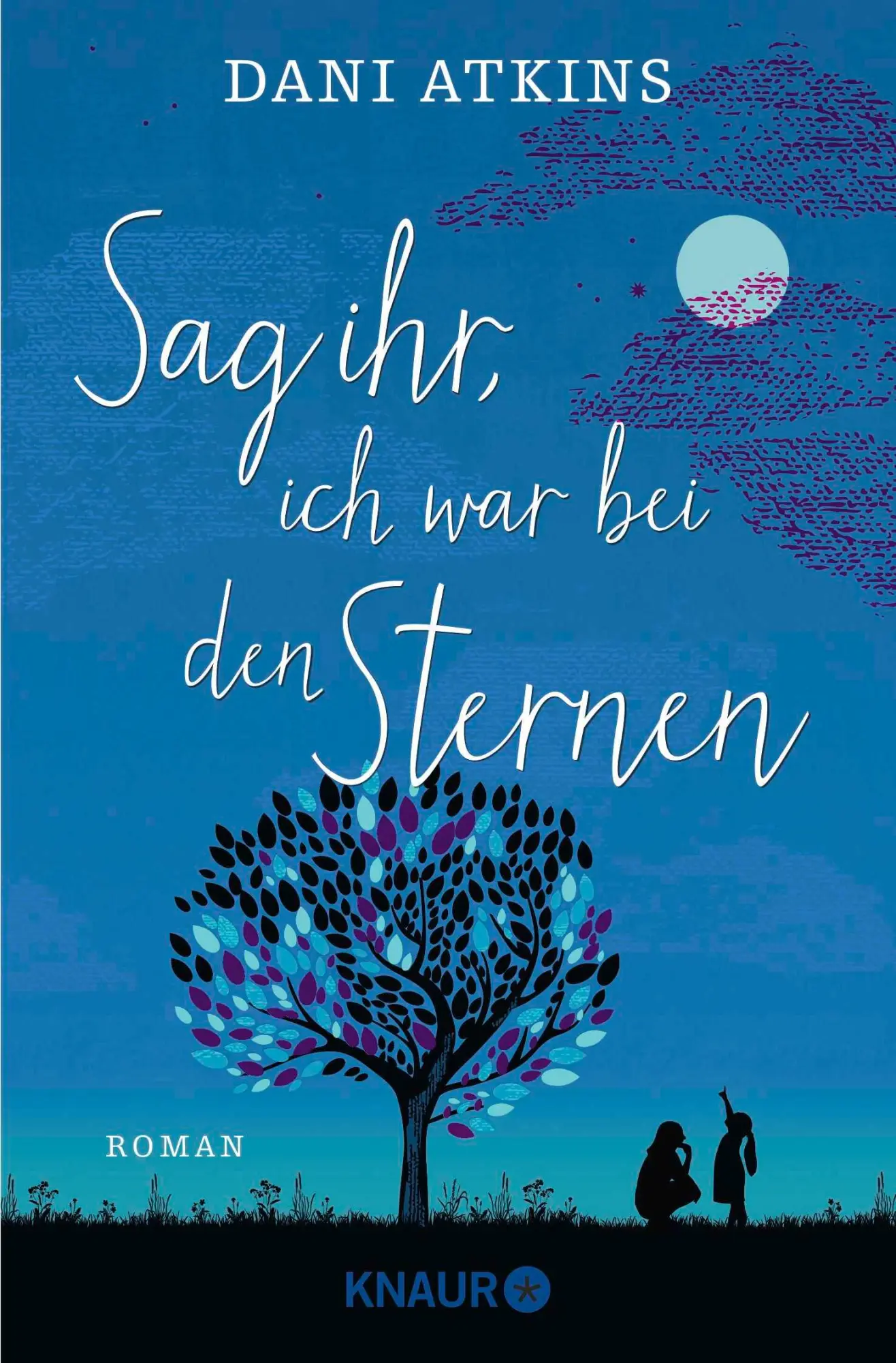 Cover: 9783426524282 | Sag ihr, ich war bei den Sternen | Dani Atkins | Taschenbuch | 432 S.