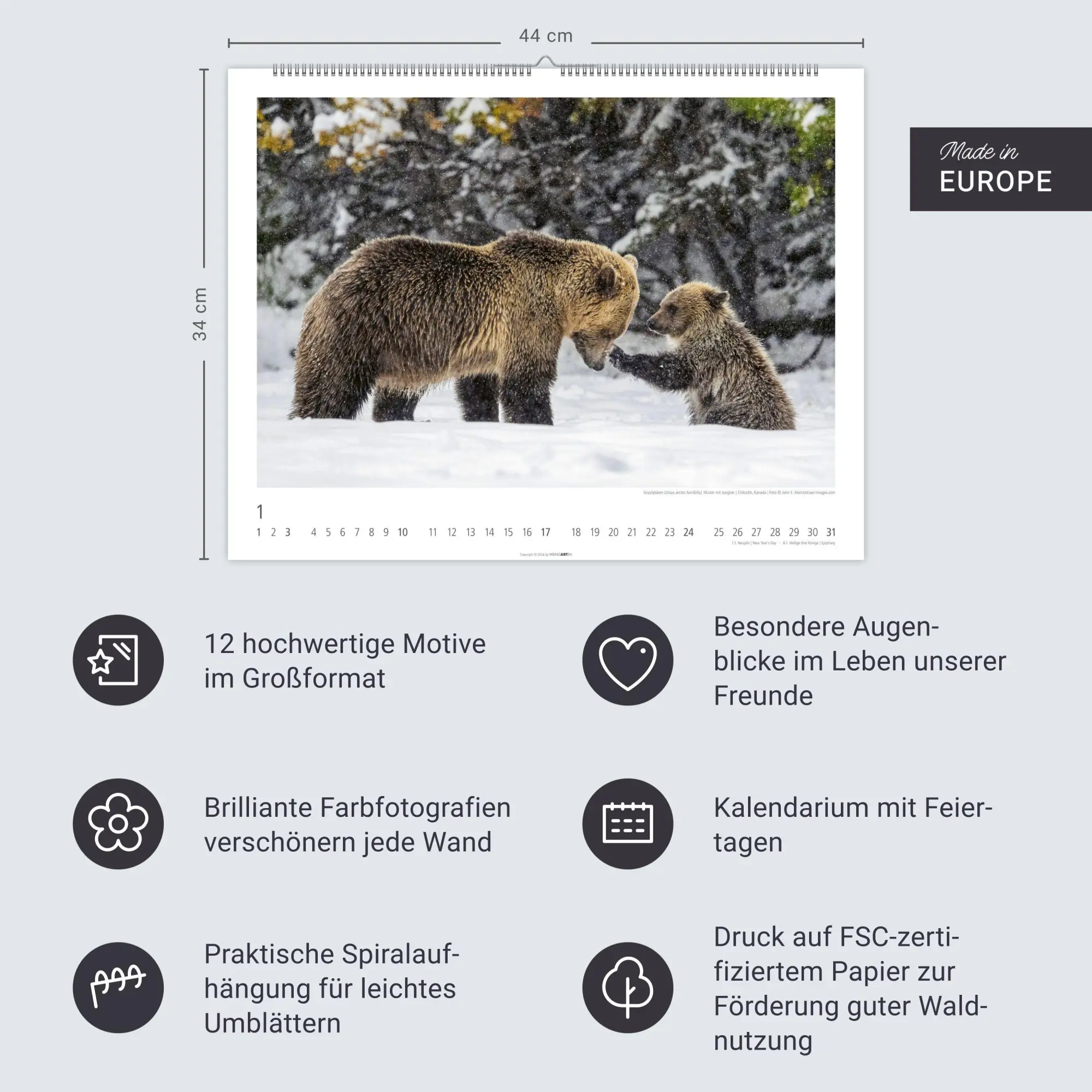 Bild: 9783839904282 | Bären Kalender 2027 | Kalender | Tierkalender Weingarten | 14 S.