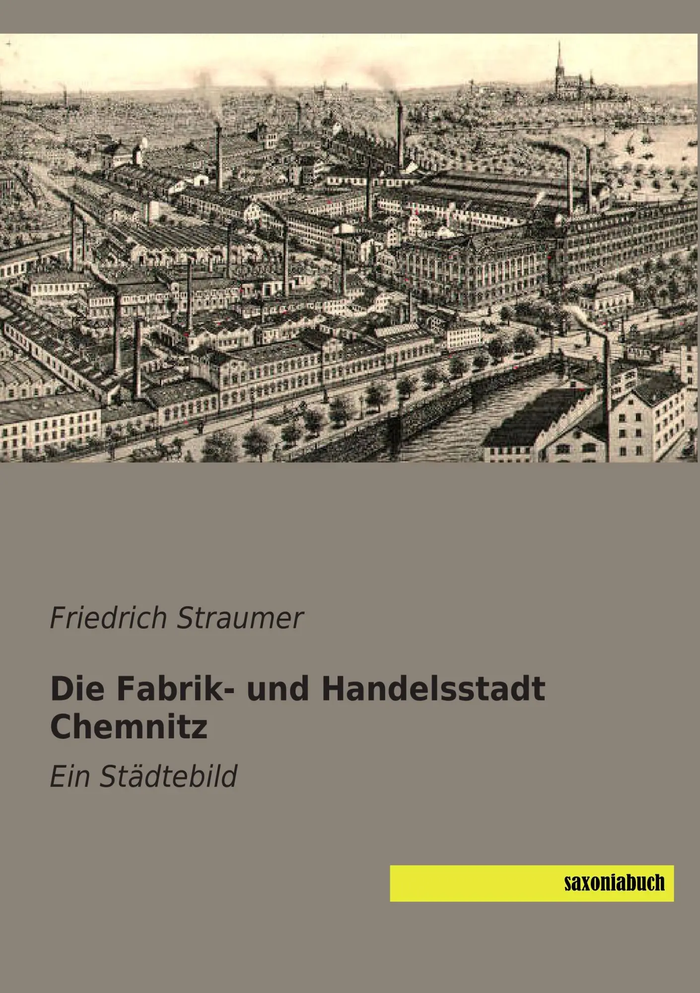 Cover: 9783957704382 | Die Fabrik- und Handelsstadt Chemnitz | Ein Städtebild | Straumer