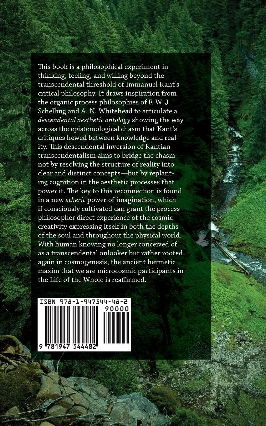 Rückseite: 9781947544482 | Crossing the Threshold | Matthew David Segall | Taschenbuch | Englisch