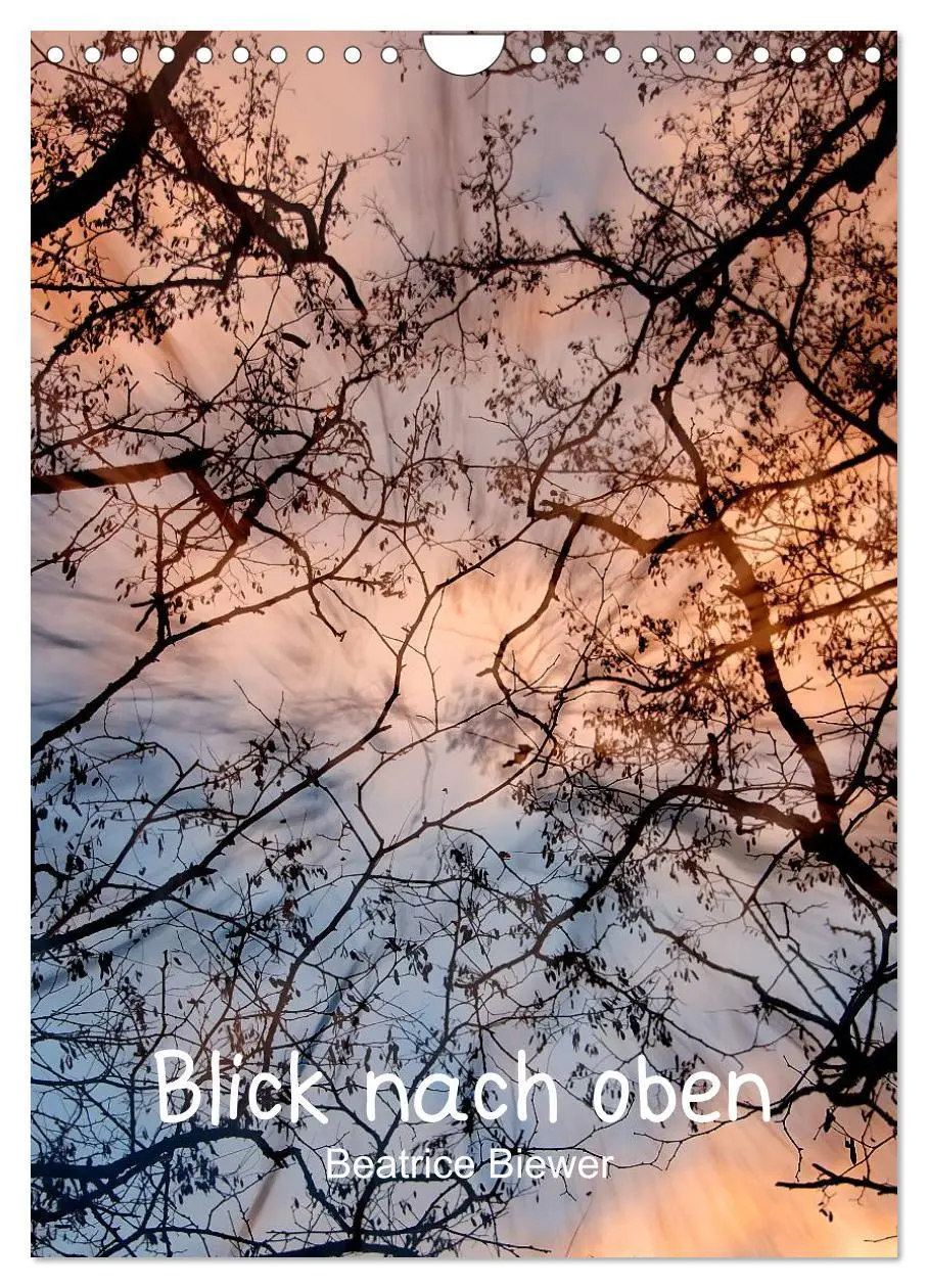 Cover: 9783516454482 | Blick nach oben (Wandkalender 2026 DIN A4 hoch), CALVENDO...