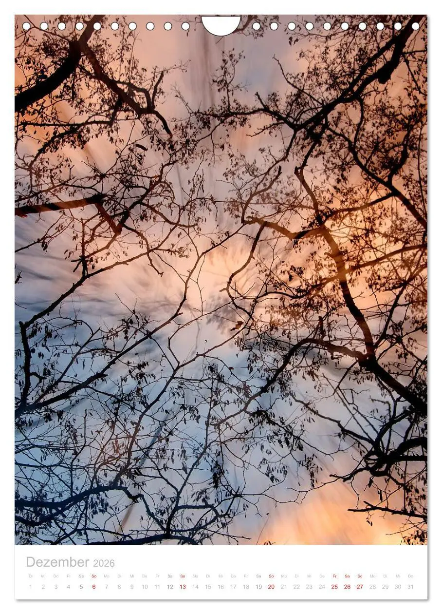 Bild: 9783516454482 | Blick nach oben (Wandkalender 2026 DIN A4 hoch), CALVENDO...