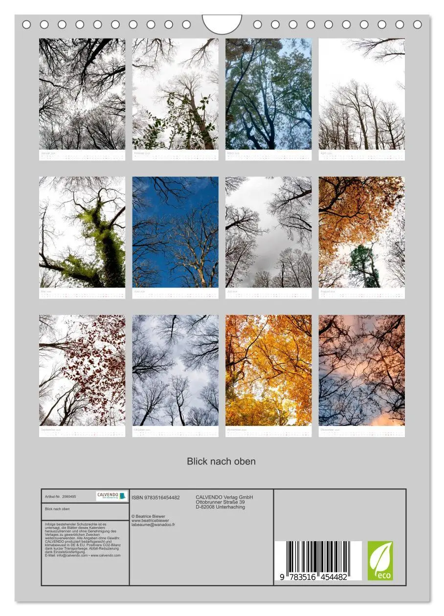 Bild: 9783516454482 | Blick nach oben (Wandkalender 2026 DIN A4 hoch), CALVENDO...