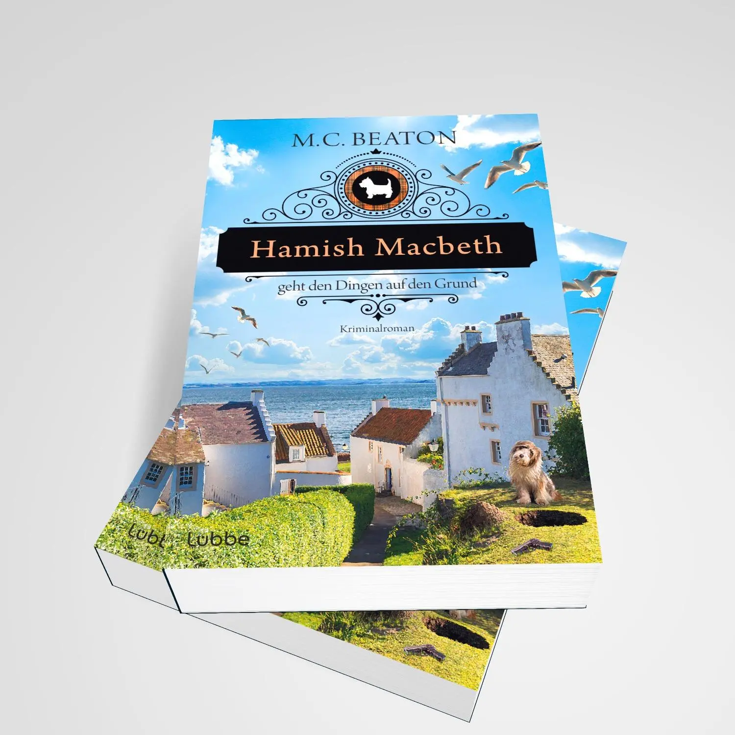 Bild: 9783404194582 | Hamish Macbeth geht den Dingen auf den Grund | M. C. Beaton | Buch