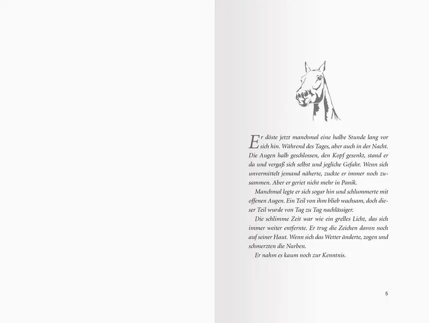 Bild: 9783473404582 | Pferdeflüsterer-Academy, Band 9: Cyprians Rückkehr | Gina Mayer | Buch