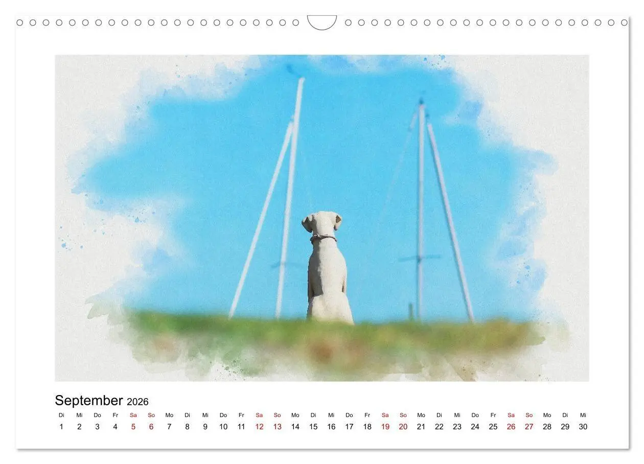 Bild: 9783516684582 | Ostsee Aquarelle (Wandkalender 2026 DIN A3 quer), CALVENDO...