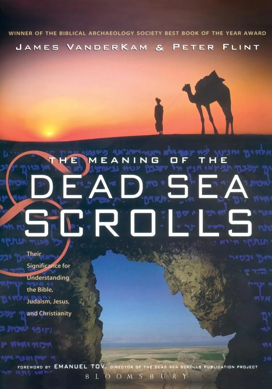 Cover: 9780567084682 | The Meaning of the Dead Sea Scrolls | Peter Flint | Taschenbuch | 2005