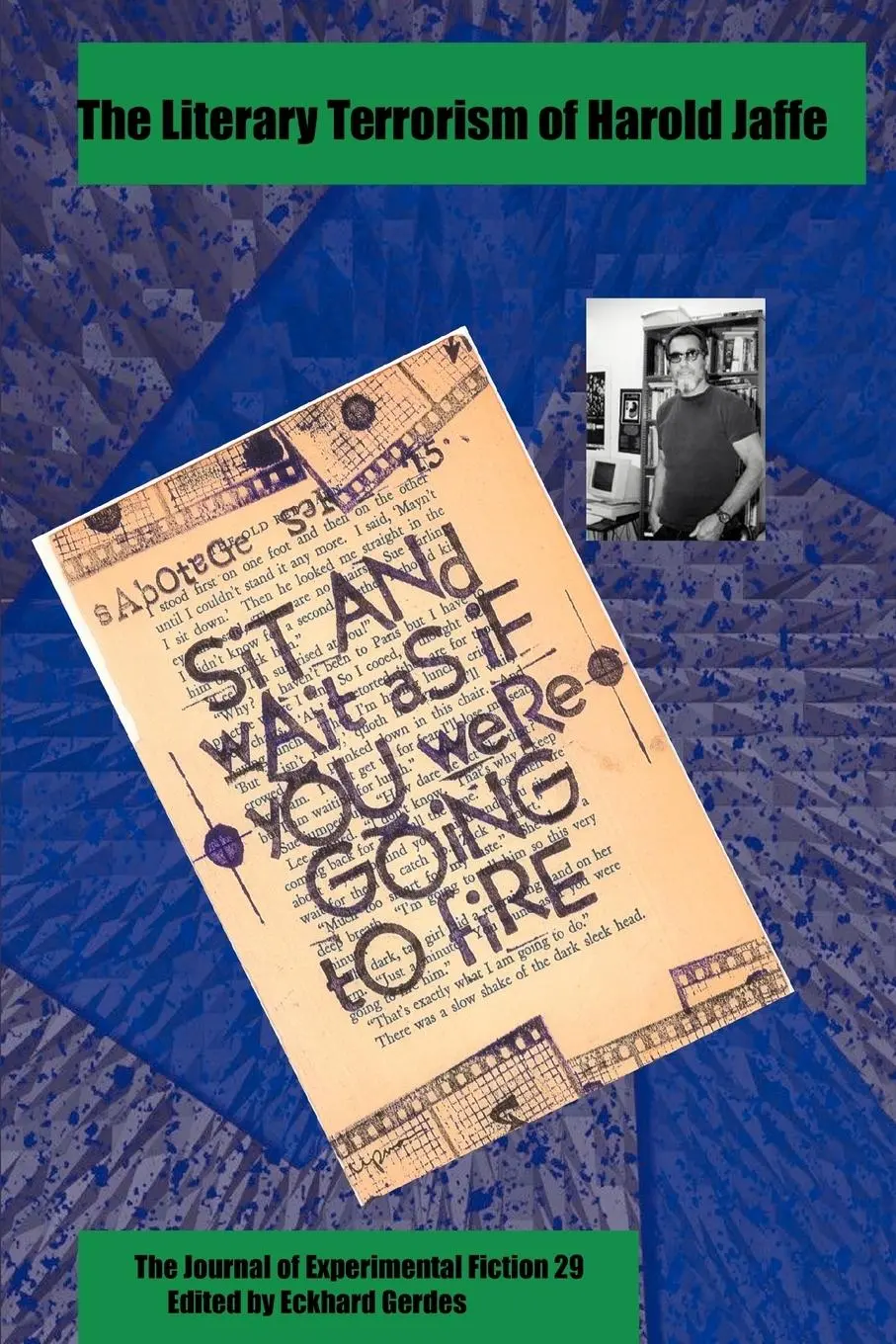 Cover: 9780595324682 | The Literary Terrorism of Harold Jaffe | Eckhard Gerdes | Taschenbuch