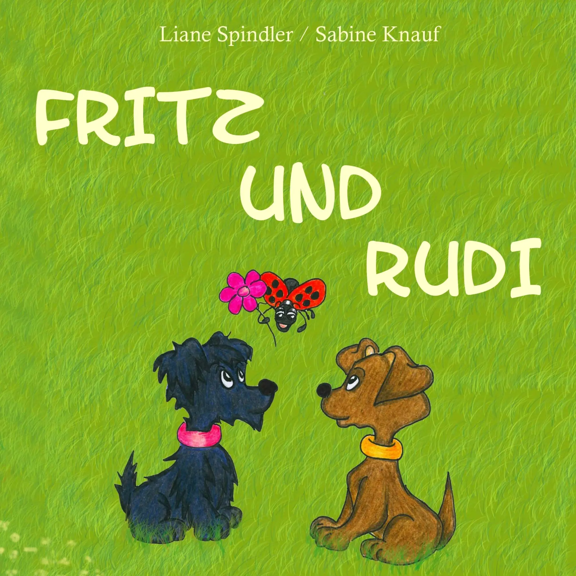 Cover: 9783734784682 | Fritz und Rudi | Liane Spindler (u. a.) | Taschenbuch | 32 S. | 2015