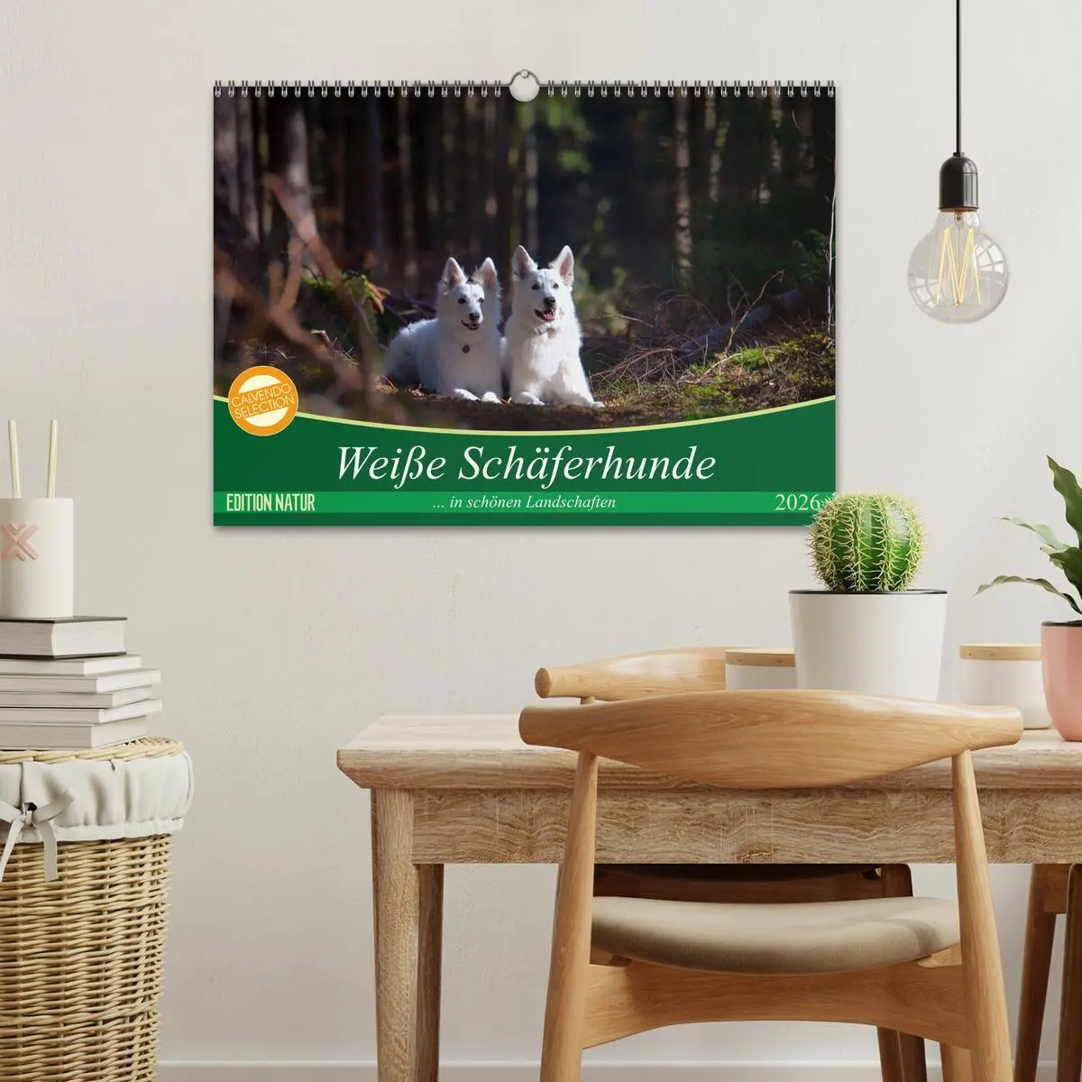 Bild: 9783457884782 | Weiße Schäferhunde in schönen Landschaften (Wandkalender 2026 DIN...